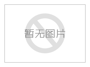 仿石漆市場(chǎng)分析