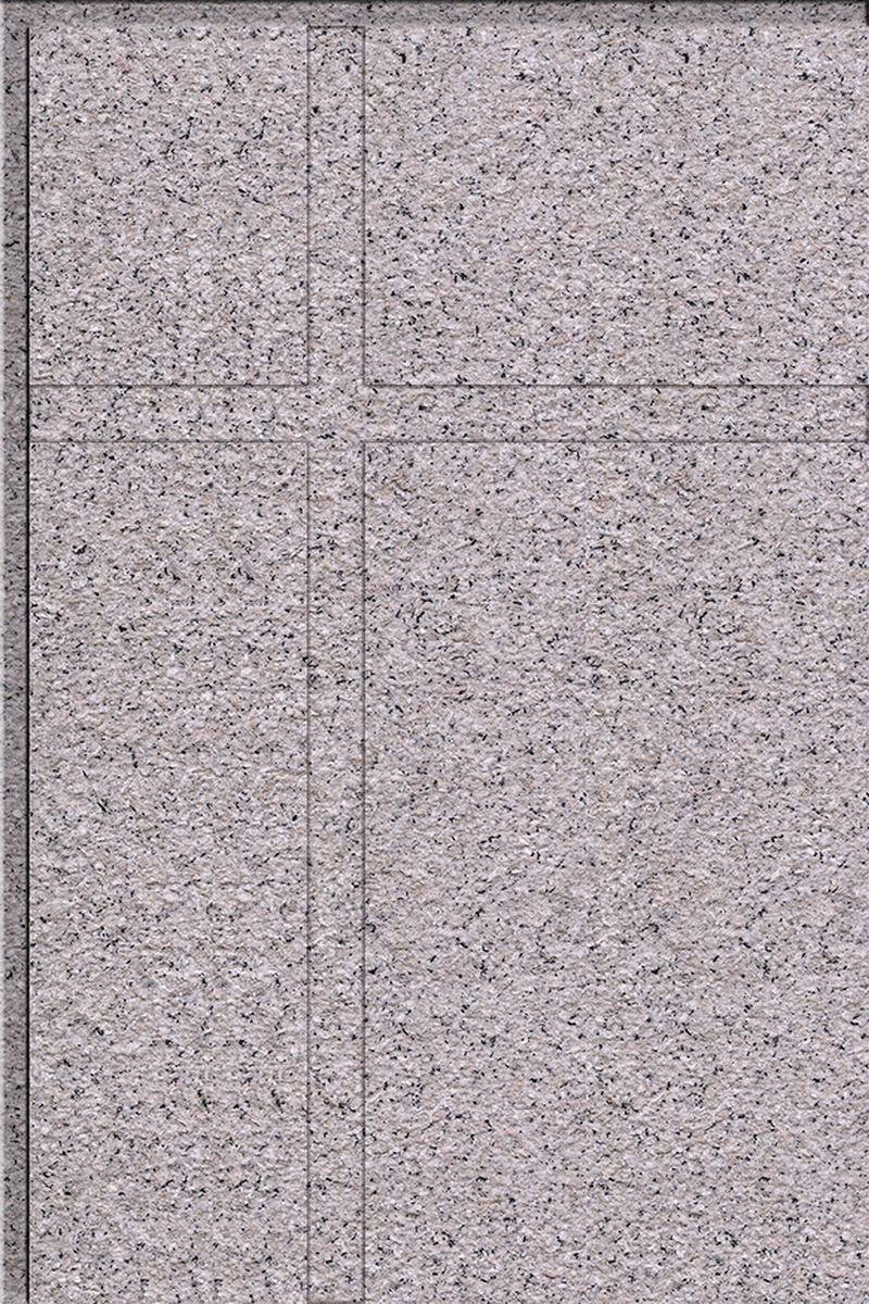 6D-6007